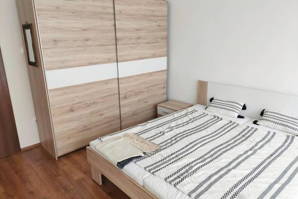 Plaza Apartman - City Center, Free Parking, Free Wifi Debrecen Exterior foto